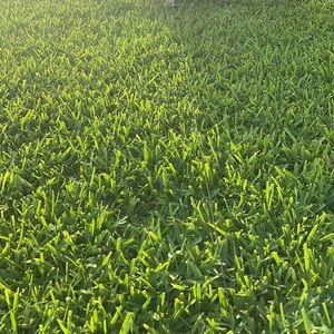 Meet your Posher, Markie